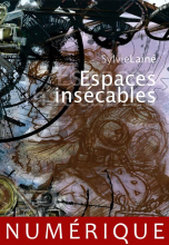 Espace insecables
